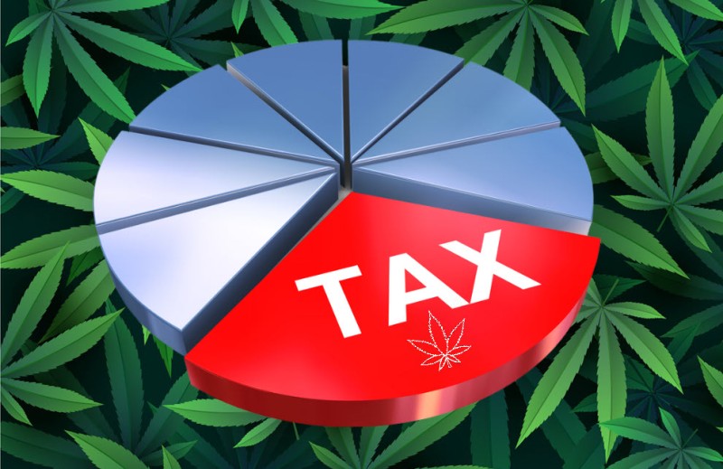 where do marijuana taxes go