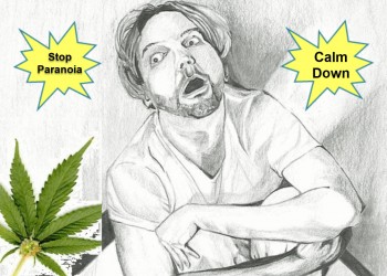 4 Ways To Stop Weed Paranoia If You Are High And Freaking Out