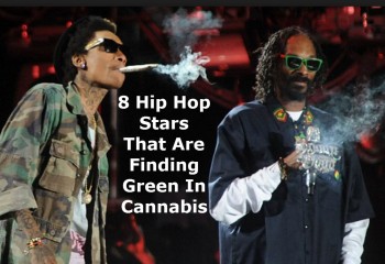 8 Hip Hop Stars That Are Finding Green In The Marijuana Industry
