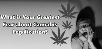 What is Your Greatest Fear about Cannabis Legalization?