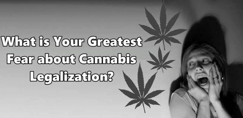 fear of legalization