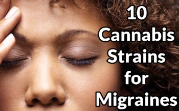10 Cannabis Strains For Migraines