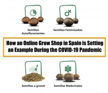 How an Online Grow Shop in Spain is Setting an Example During the COVID-19 Pandemic