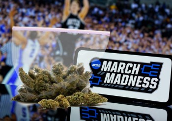 Smoking Pot in College is Now Allowed for Athletes - NCAA May Soon Remove Cannabis from Drug Testing Panels