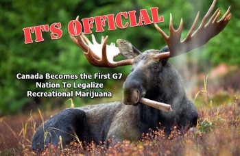 Canada Becomes First G7 Country to Legalize Recreational Marijuana