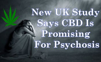 New UK Study Says CBD Is Promising For Psychosis