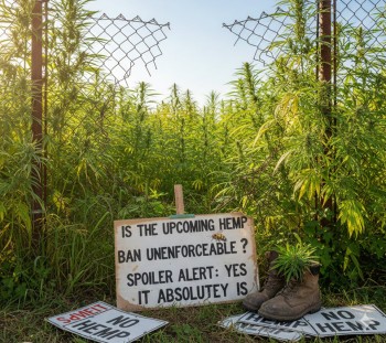Is the Upcoming Hemp Ban Unenforceable? Spoiler Alert: Yes, It Absolutely Is