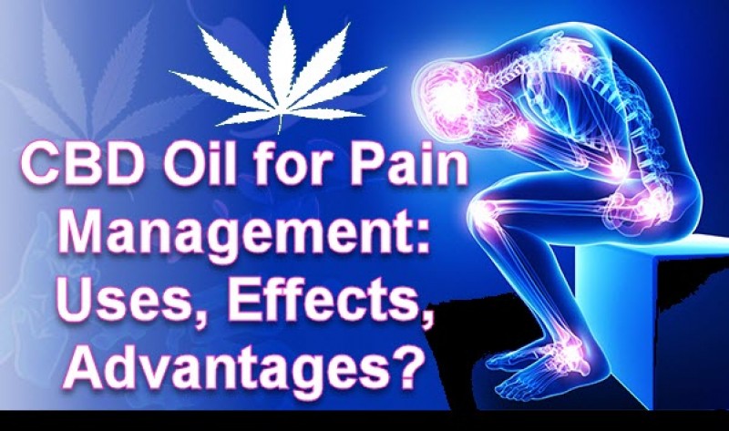 CBD Oil for Pain Management: Uses, Effects, Advantages?
