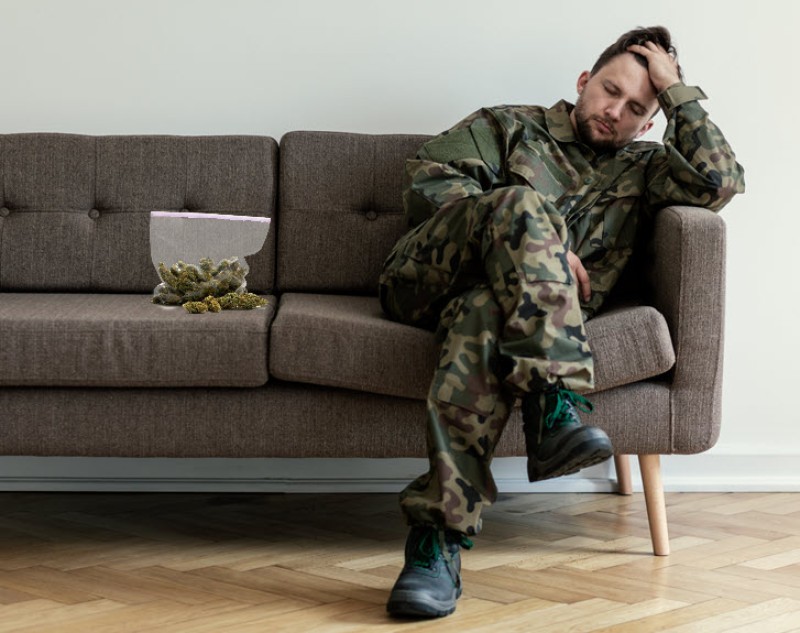low thc and therapy for PTSD
