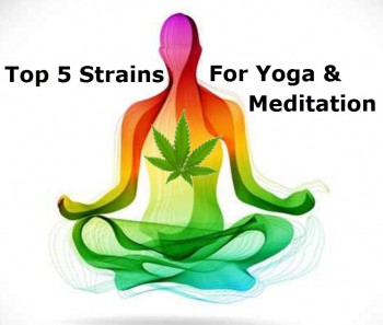 Top 5 Strains For Yoga and Meditation