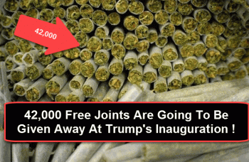 42,000 Free Joints Being Given Away For Trump's Inauguration