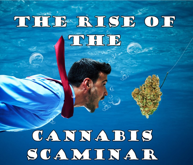 marijuana seminar scaminar