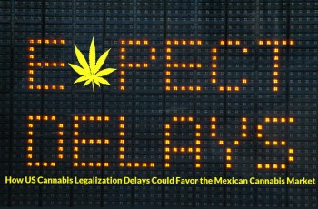 How US Cannabis Legalization Delays Could Favor the Mexican Cannabis Market