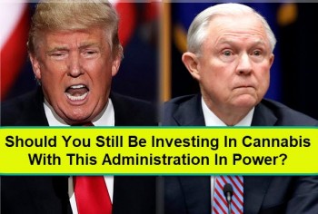 Should You Still Invest In Cannabis With This Current Administration?