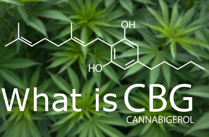 What Is CBG?