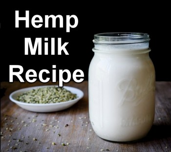Hemp Milk Recipe To Make At Home