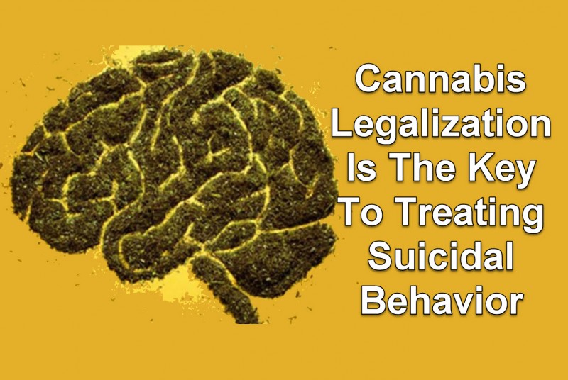 cannabis for suicide prevention