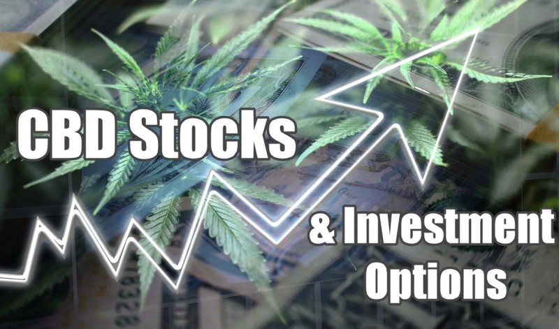 cbd stocks and investments