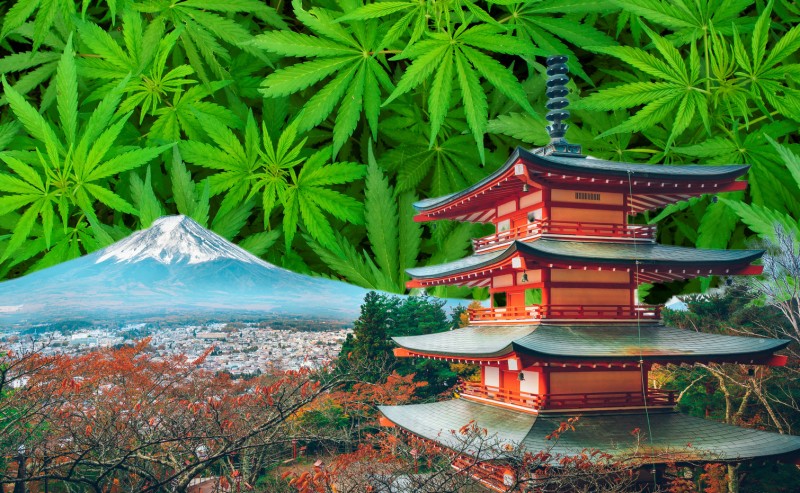Japan changes cannabis law