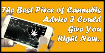 The Best Piece of Cannabis Advice I Could Give You Right Now For the Future