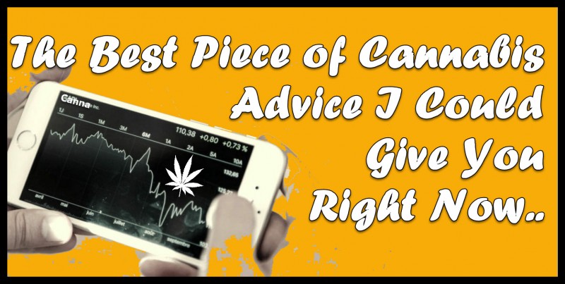 cannabis investment advice