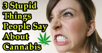 3 Stupid Things People Say About Cannabis