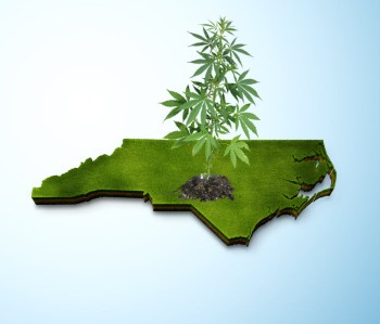 Medical Marijuana Approved in the Tar Heel State? - North Carolina Advances Medical Marijuana Law