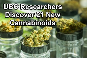 UBC Researchers Discover 21 New Cannabinoids