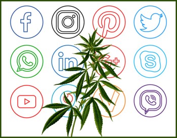 FB and IG Are Shutting Down Cannabis Accounts Left and Right, The Migration to X for Cannabis Brands Continues!