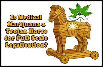 Is Medical Marijuana a Trojan Horse for Full Scale Legalization?
