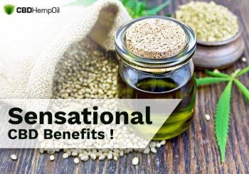 CBD Oil for Sale - Learn More About the Unique Benefits of CBD
