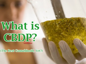 What is CBDP? (The Best Cannabinoid, Yet?)