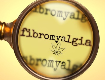 Fibromyalgia Patients Enjoy Long Term Benefits After Cannabis Medication Says New Medical Study