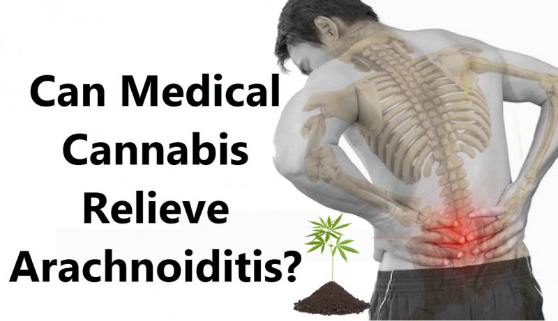 cannabis for arachnoiditis