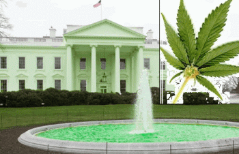 Washington, DC Goes Full Legal On Weed Tonight at Midnight