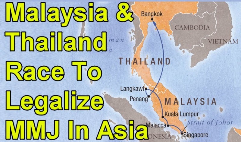 Thailand and Malaysia legalize weed