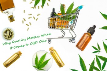 CBD Oils - Why Quality Matters When It Comes to Choosing the Right CBD