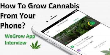How To Grow Cannabis From Your Phone?
