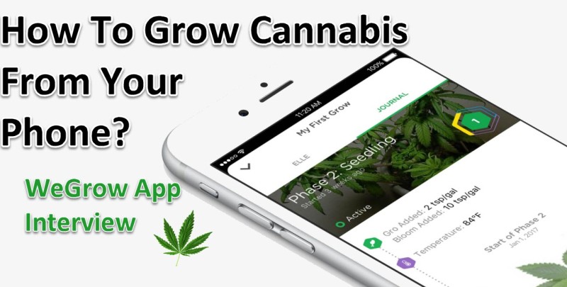 cannabis grow app