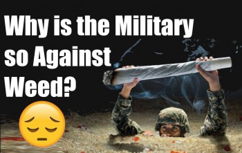 Why is the Military so Against Weed?