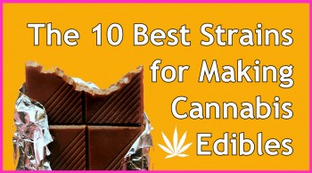 The 10 Best Strains for Making Cannabis Edibles