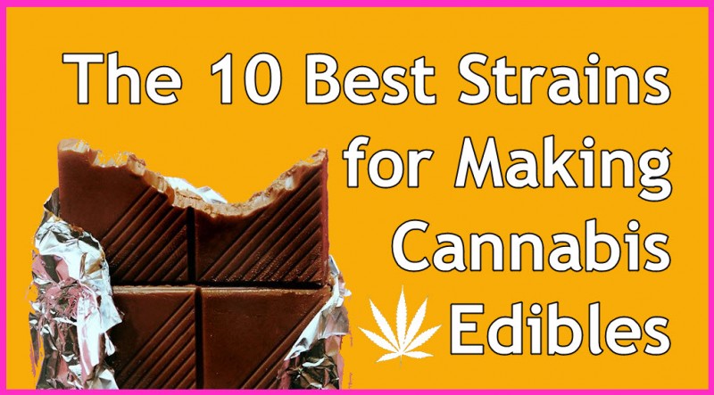 best strains to make edibles with
