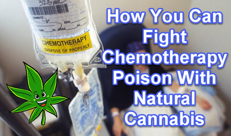 Chemotherapy and Cannabis