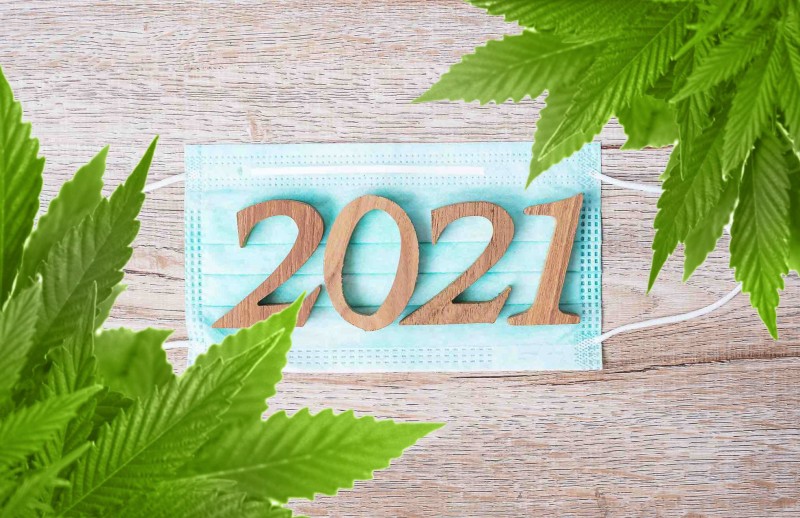 marijuana resolutions