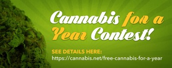 Free Cannabis For A Year