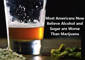 Most Americans Believe Alcohol and Sugar Are Worse Than Marijuana
