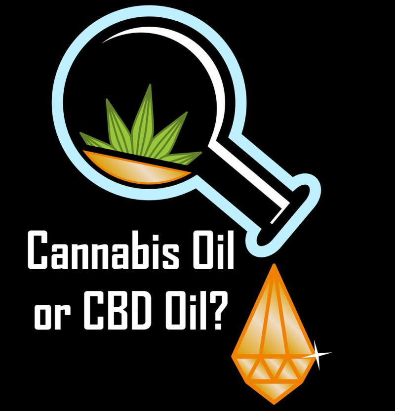 cannabis oil or cbd oil