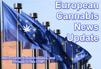 European Marijuana Market News