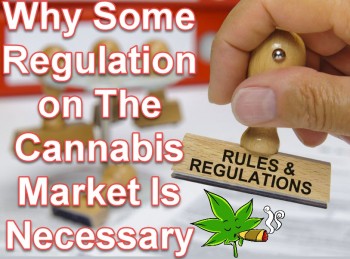 Why Some Regulation on The Cannabis Market Is Necessary