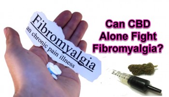 Can CBD Alone Fight Fibromyalgia?